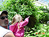 Jordan reaching for a butterfly