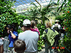 Tyler, Ken, and Jordan in the butterfly pavilion