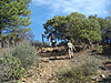 Tyler and Ken hiking up a trail