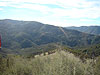 The view from the fire road