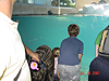 Tyler and Jordan looking for a walrus