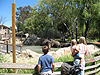 Tyler, Jordan, and Tanya looking at the elephants