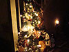 Jordan's tree