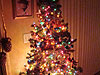 Tyler's tree
