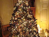 Our Christmas tree