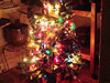 Another one of our little Xmas trees