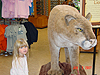 Jordan in the Yosemite Lodge store