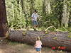 Tyler and Jordan on the way to Glacier Point