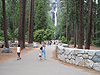 Tyler, Tanya, and Jordan walking to Yosemite Falls