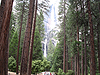 Yosemite Falls